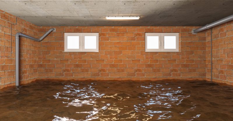 Flooded Basement Cleanup detail