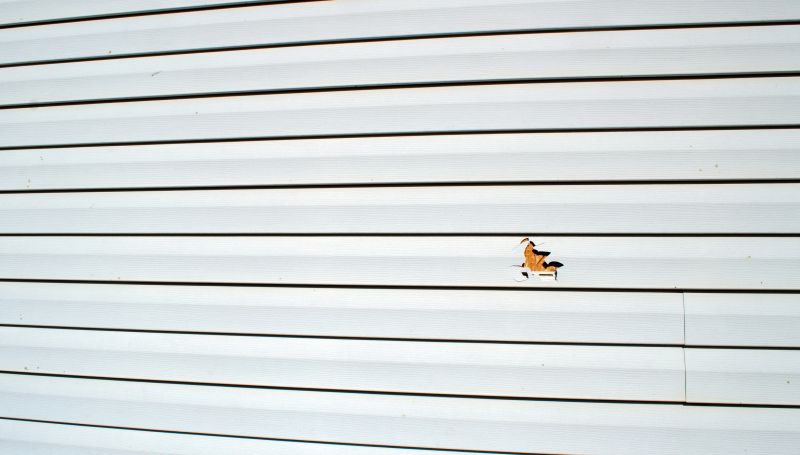 Siding Replacement Services