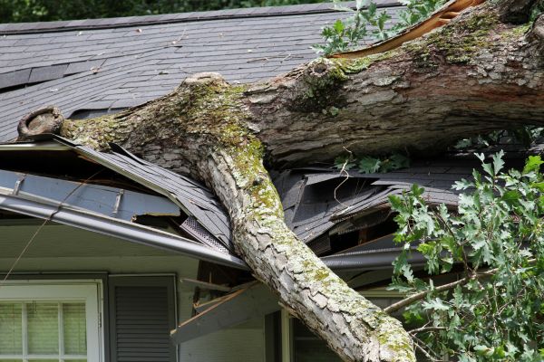 Cost of Storm Remediation in High Point