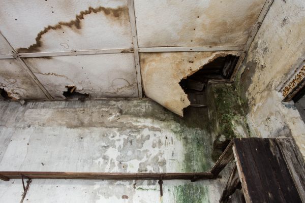 Cost of Water Damage Service in High Point