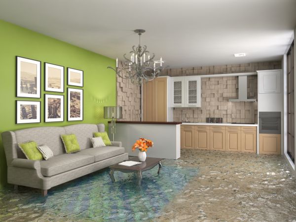 Cost of Wet Carpet Drying in High Point