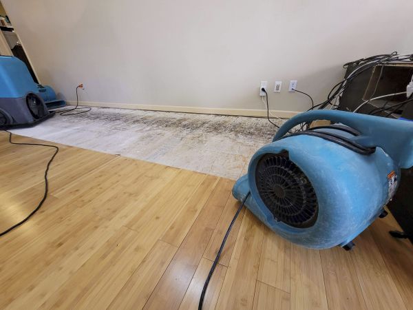 Cost of Water Damage Mitigation in High Point