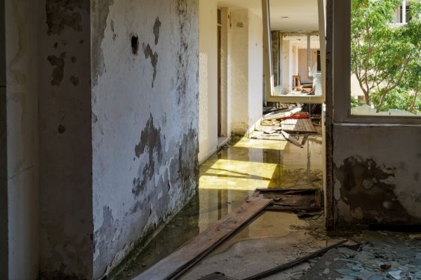 Cost of Water Removal Service in High Point