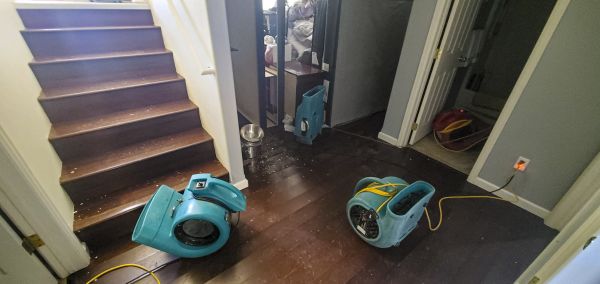 Cost of Water Damage Remediation in High Point