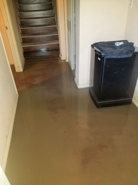 Cost of Emergency Water Removal in High Point