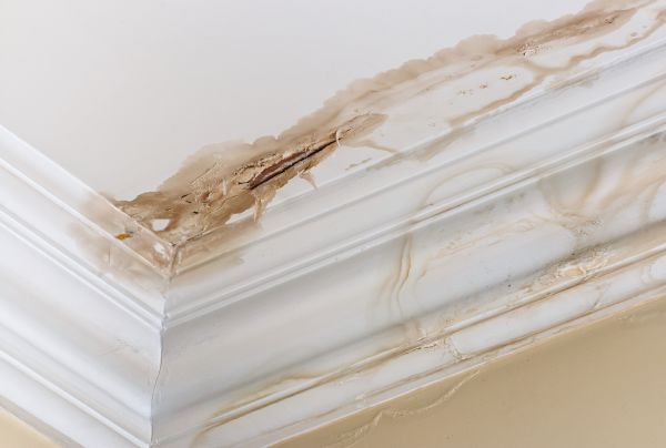 Cost of Water Damage Recovery in High Point